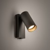 FOURTY umbra grey 11766 Nowodvorski